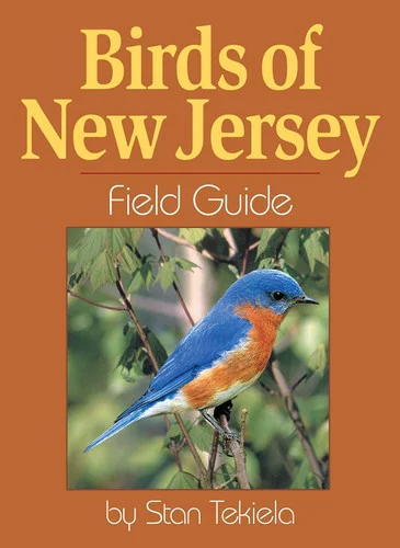 americanbookwarehouse8-2844695