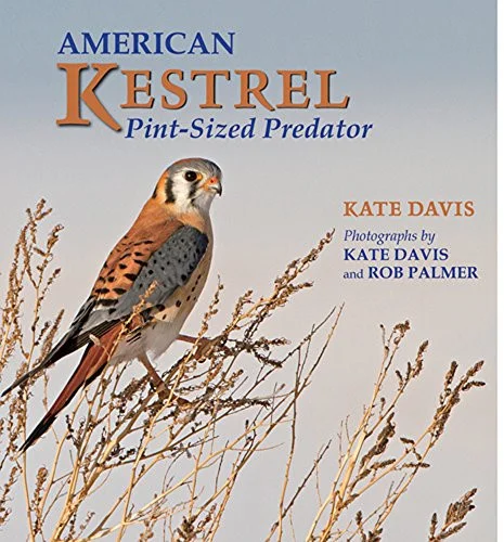 americanbookwarehouse8-2907567