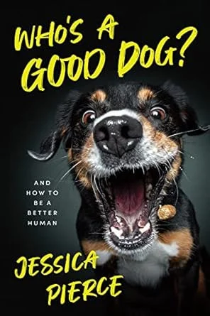 americanbookwarehouse8-3053815