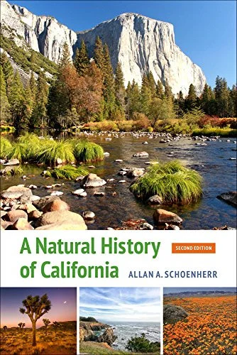 americanbookwarehouse8-3074436