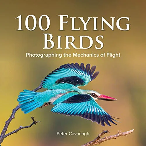 americanbookwarehouse9-2540
