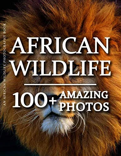 americanbookwarehouse9-68782