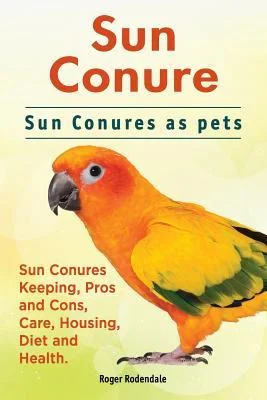 discountmags6-1863682