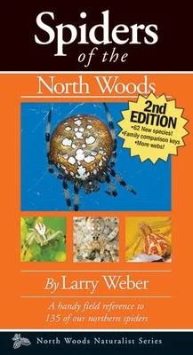 discountmags6-1864308