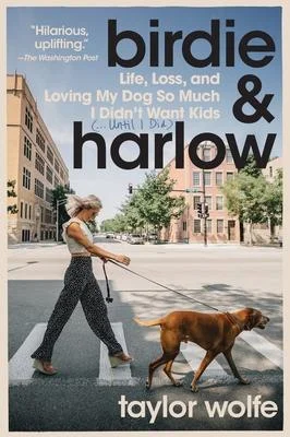 discountmags7-290419