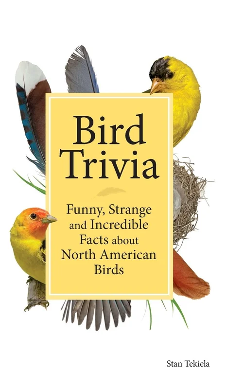 tatteredcover142146719