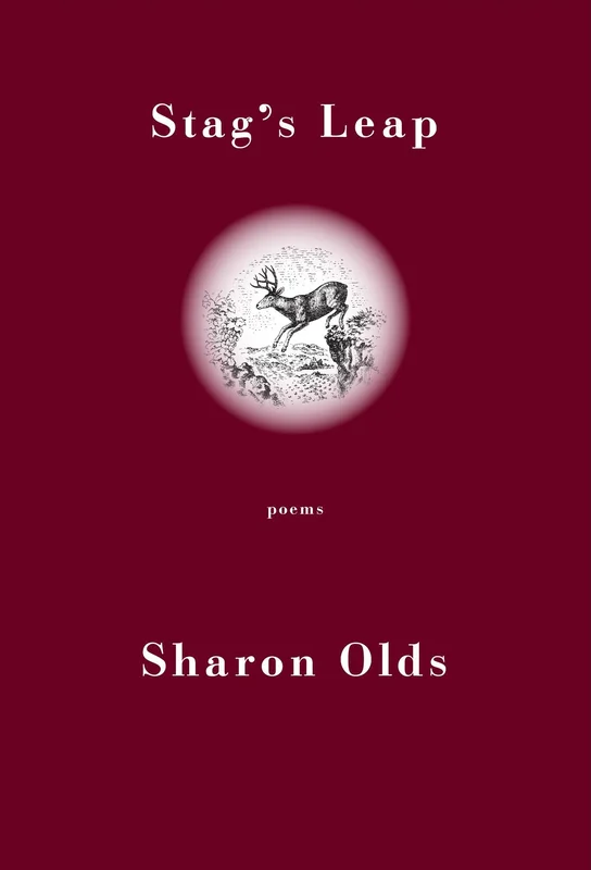 tatteredcover142153445