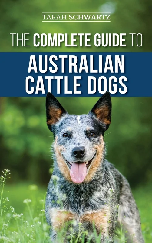 tatteredcover142167084