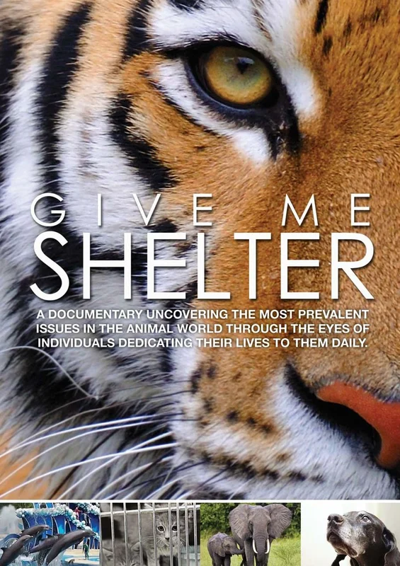 tatteredcover152216048